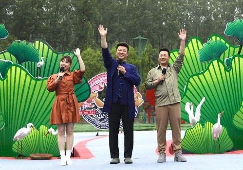 重庆太阳最新爆料视频,揭秘神秘事件背后的真相  第3张